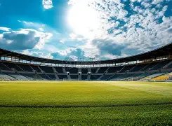 蓉城官方宣,布塞鸟加入,阵容,亚博体育,亚博体育官网,亚博体育app,亚博体育下载