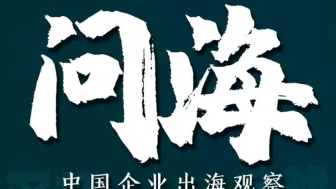 品玩市场深度评测：2026年热门玩物大盘点